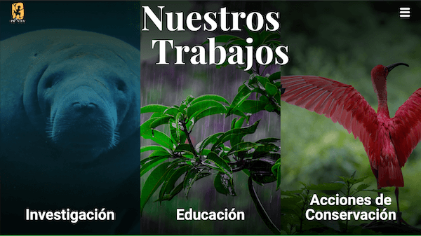 Website de Franceschi Chocolate